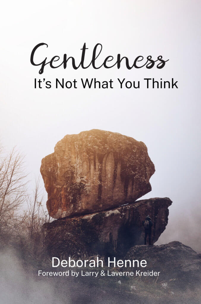 Gentleness finale Cover front